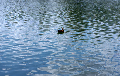 Similar image 22148718