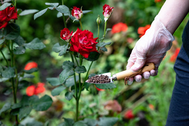 Similar image 22152572