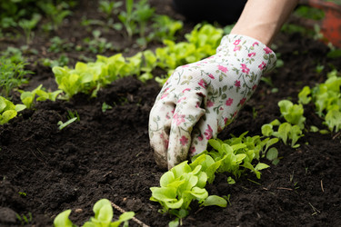 Similar image 22152575