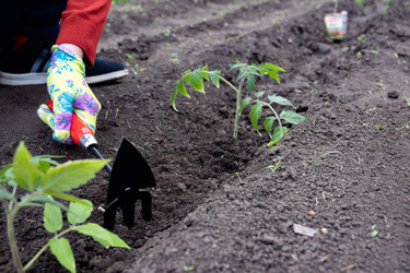 Similar image 22152581