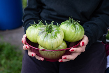 Similar image 22152617