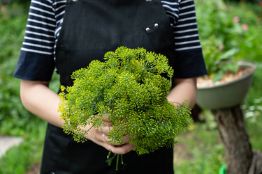 Similar image 22152298