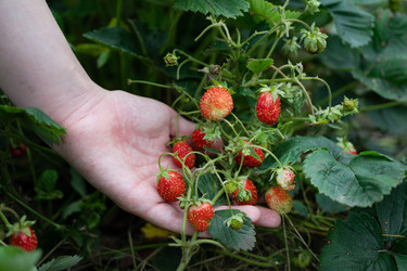 Similar image 22152618