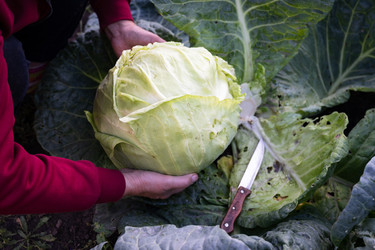 Similar image 22152619