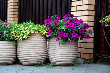 Similar image 22152620