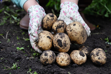 Similar image 22152621