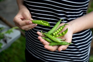 Similar image 22152622