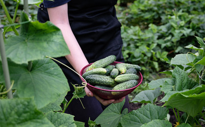 Similar image 22152630