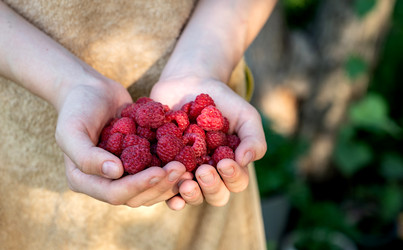 Similar image 22152632