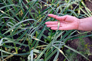 Similar image 22152636