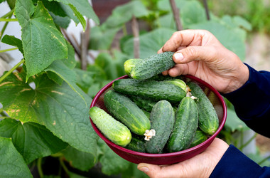 Similar image 22152640