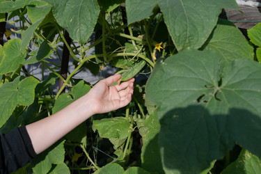 Similar image 22152644