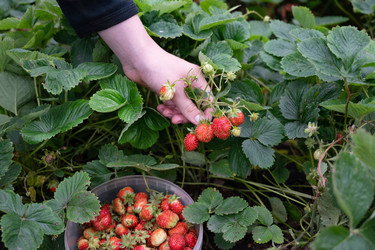 Similar image 22152650