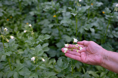 Similar image 22152652