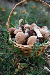 Similar image 22152653