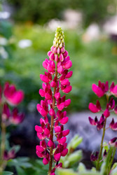 Similar image 22152654