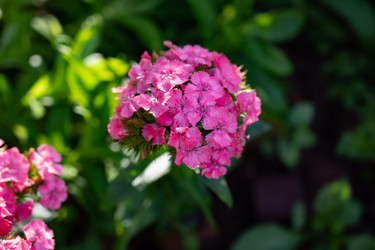 Similar image 22152656