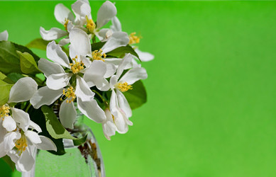 Similar image 22152660