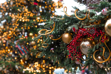 Similar image 22151264