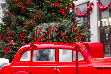 Similar image 22151273