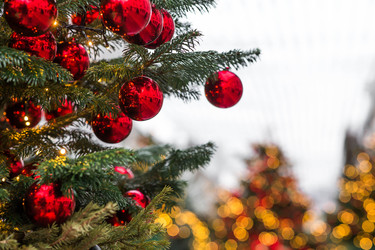 Similar image 22151276