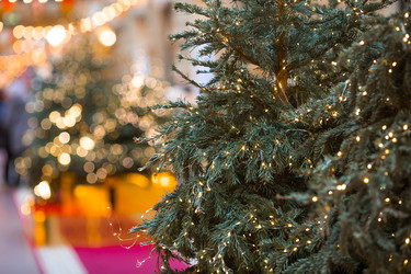 Similar image 22151279