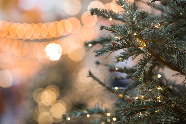 Similar image 22151280