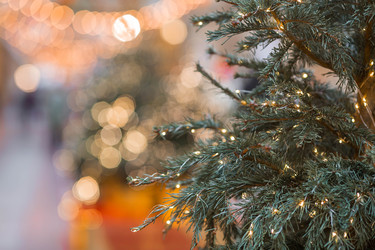 Similar image 22151281