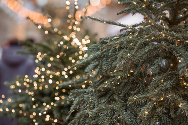 Similar image 22151282