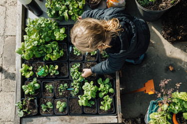 Similar image 22153383