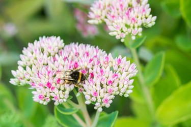 Similar image 22149224