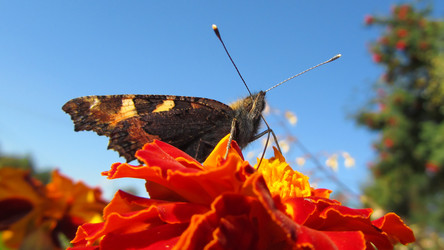 Similar image 22149225