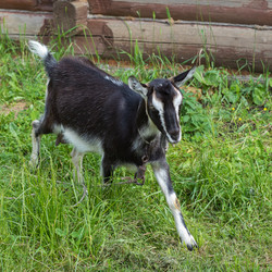 Similar image 22149230