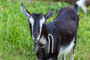 Similar image 22149231