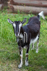 Similar image 22149232