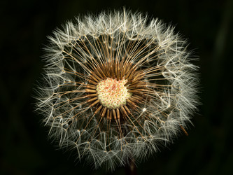 Similar image 22149235