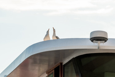 Similar image 22149829