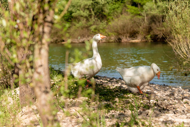 Similar image 22149830