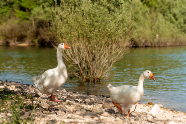 Similar image 22149831