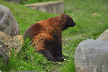 Similar image 22161175