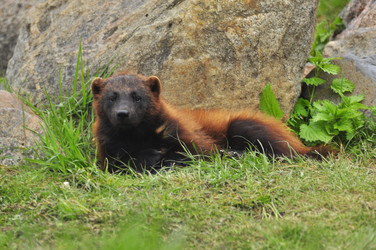 Similar image 22161176