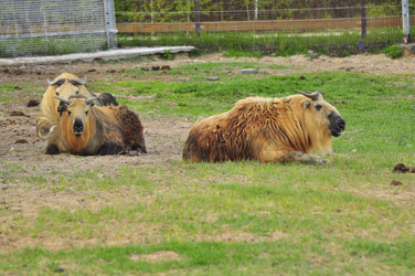 Similar image 22161177