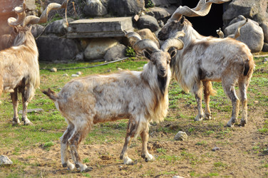 Similar image 22161178