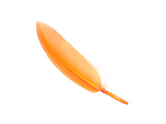 Similar image 22148456