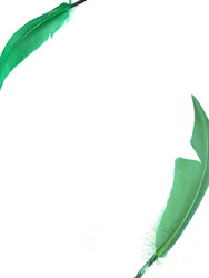 Similar image 22148459