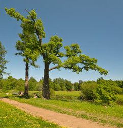 Similar image 22148498