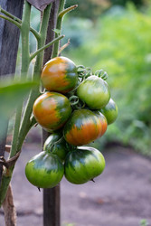 Similar image 22152663