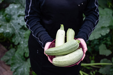 Similar image 22152667