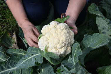 Similar image 22152674