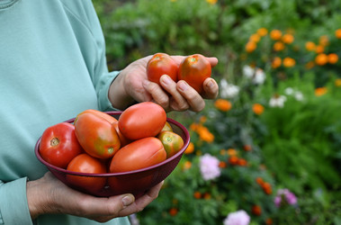 Similar image 22152675